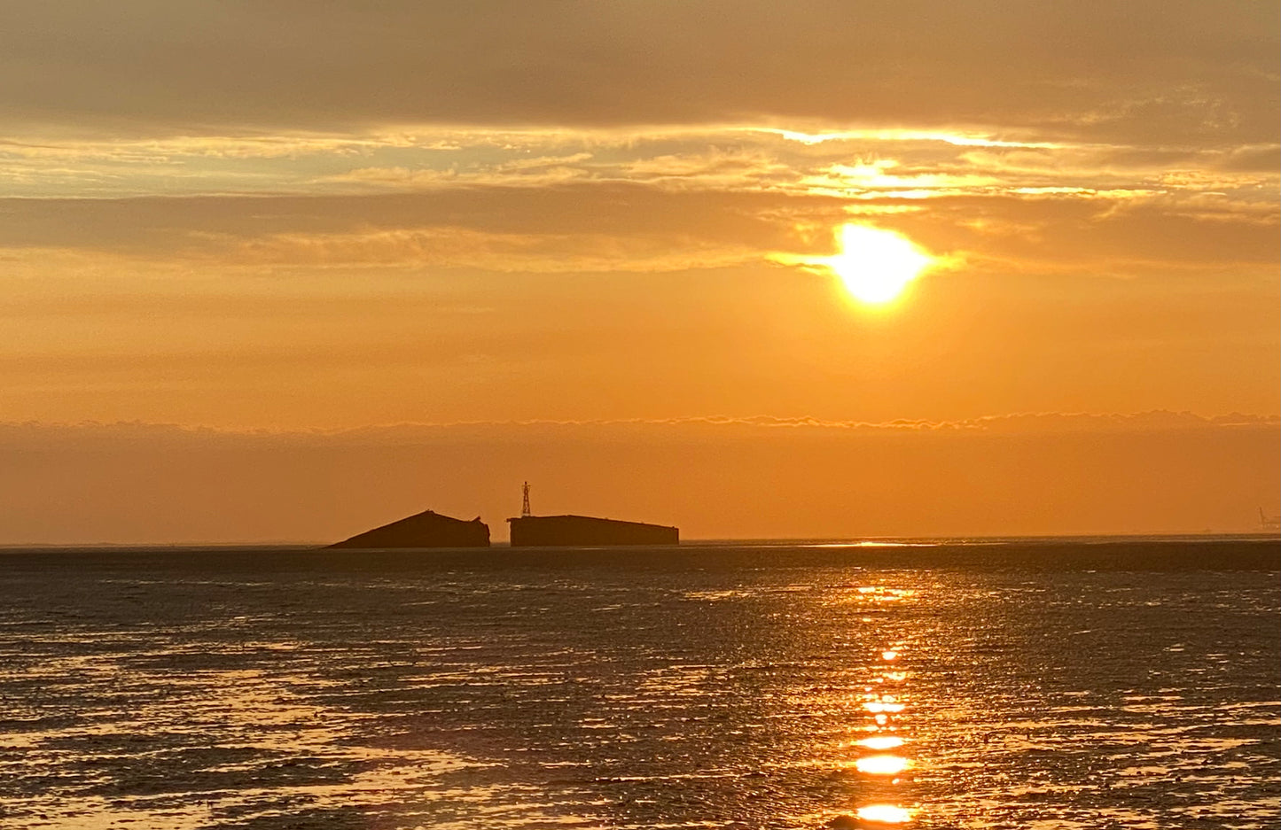 Mulberry Harbour guided walk. (3 miles, 2 hours). Please read description.