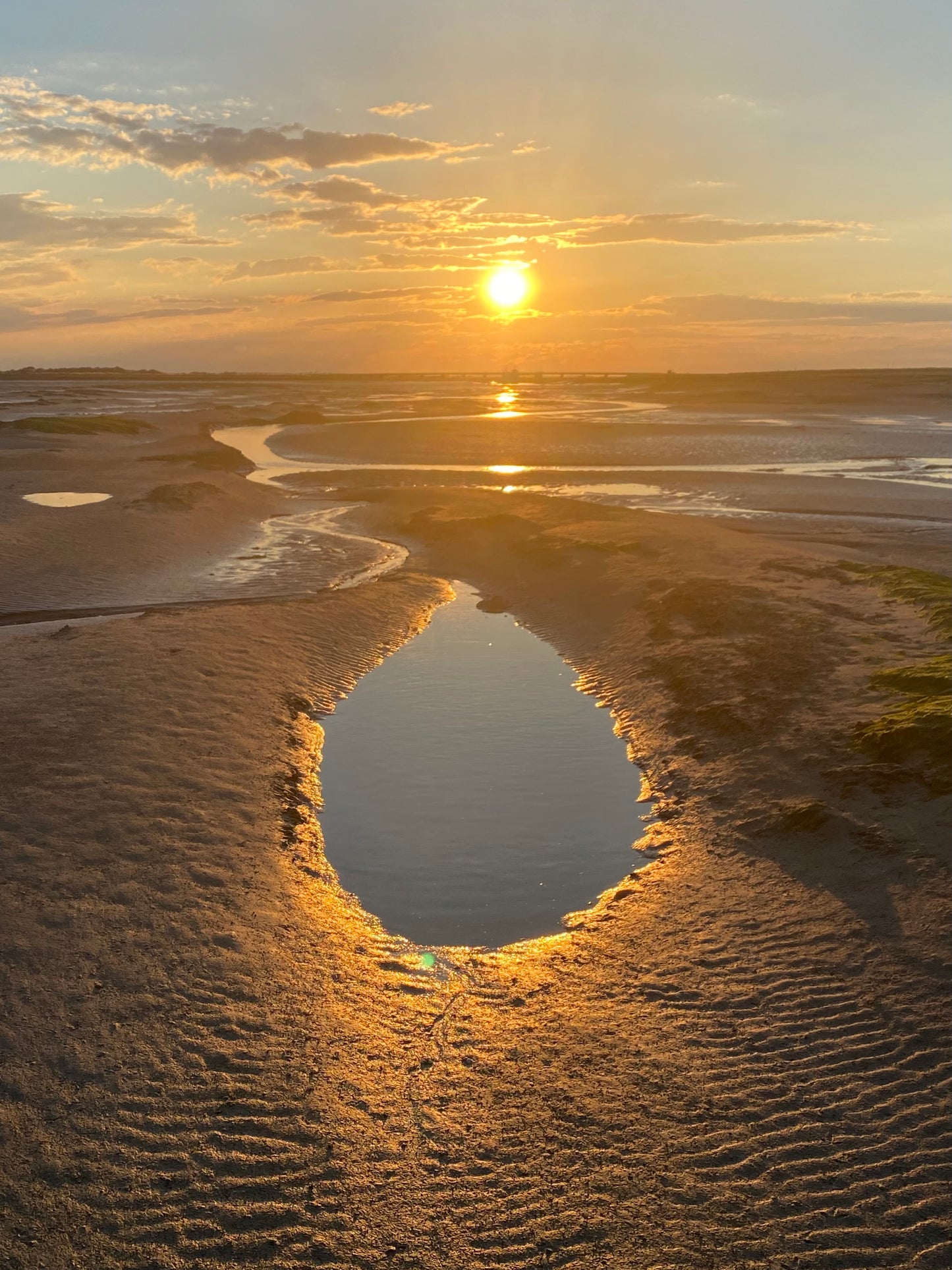 Broomway guided walk. (3 mile 2hrs or 7 miles, 4 hour options). Please read description.