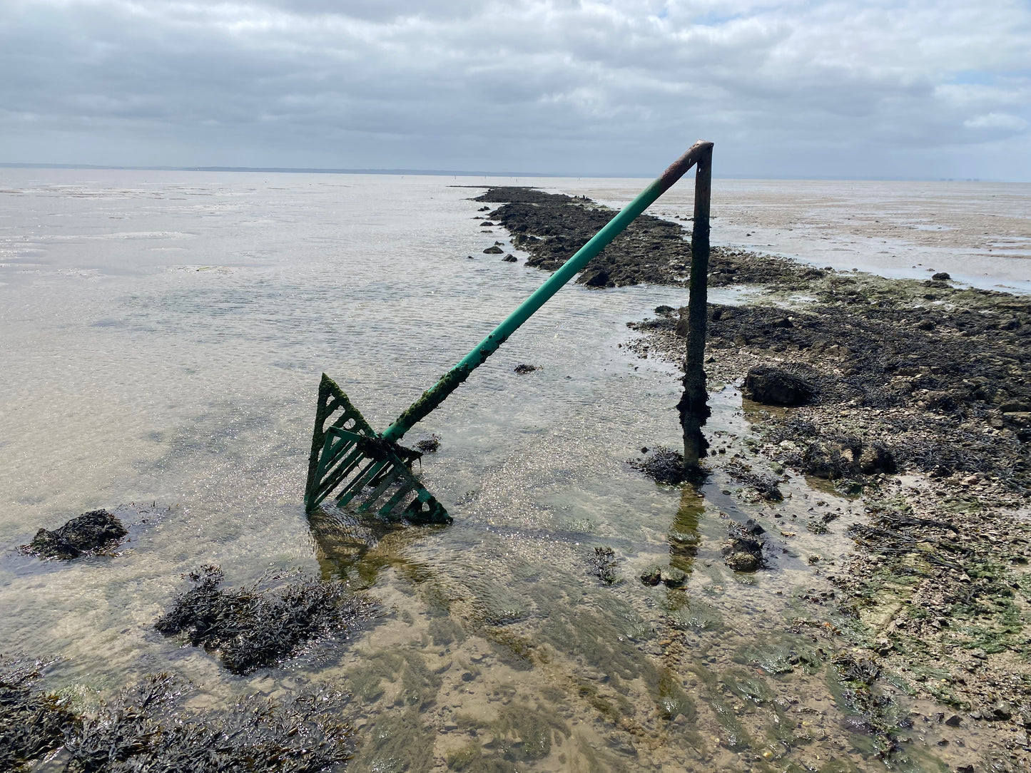 Broomway guided walk. (3 mile 2hrs or 7 miles, 4 hour options). Please read description.