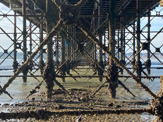 Blog about Southend Pier guided walk with Thames estuary man.